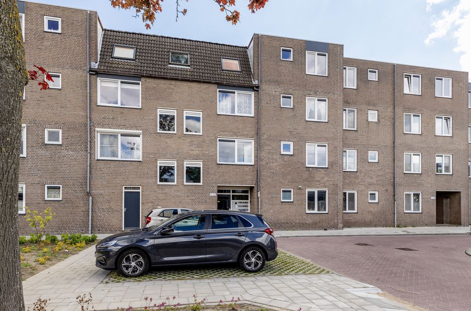 Ringspoor 50
