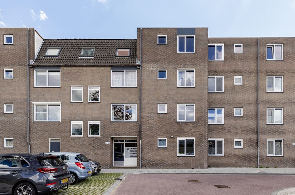 Ringspoor 50