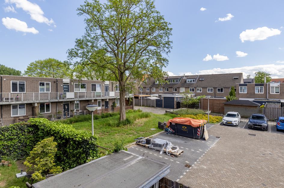 Ringspoor 50