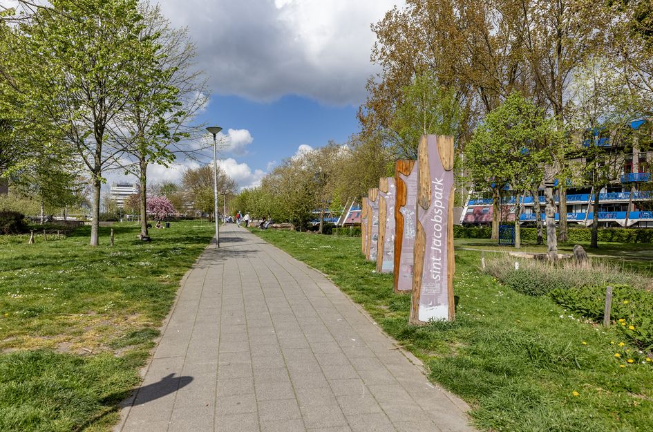 Sint-Jacobstraat 223
