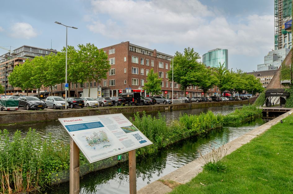Sint-Jacobstraat 223