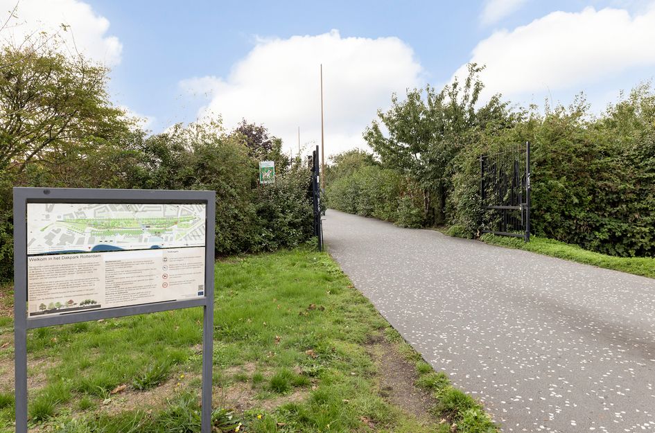 Diepeveenstraat 37