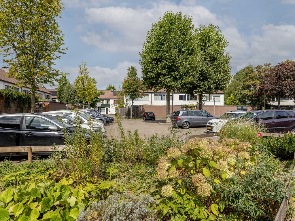 Kruisbessendreef 6, ROZENBURG