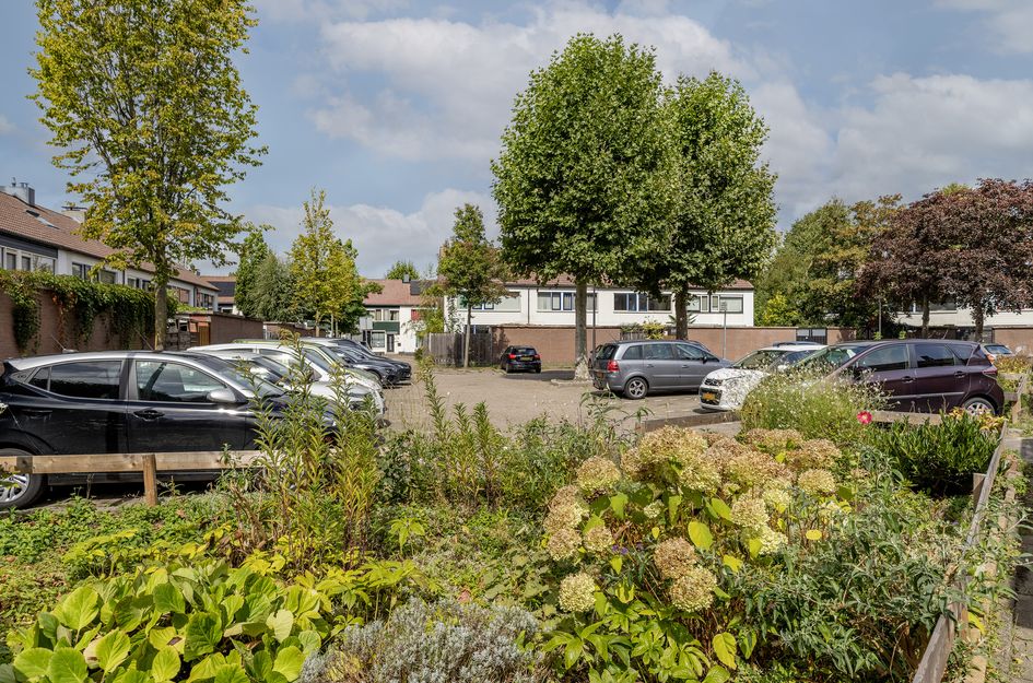 Kruisbessendreef 6