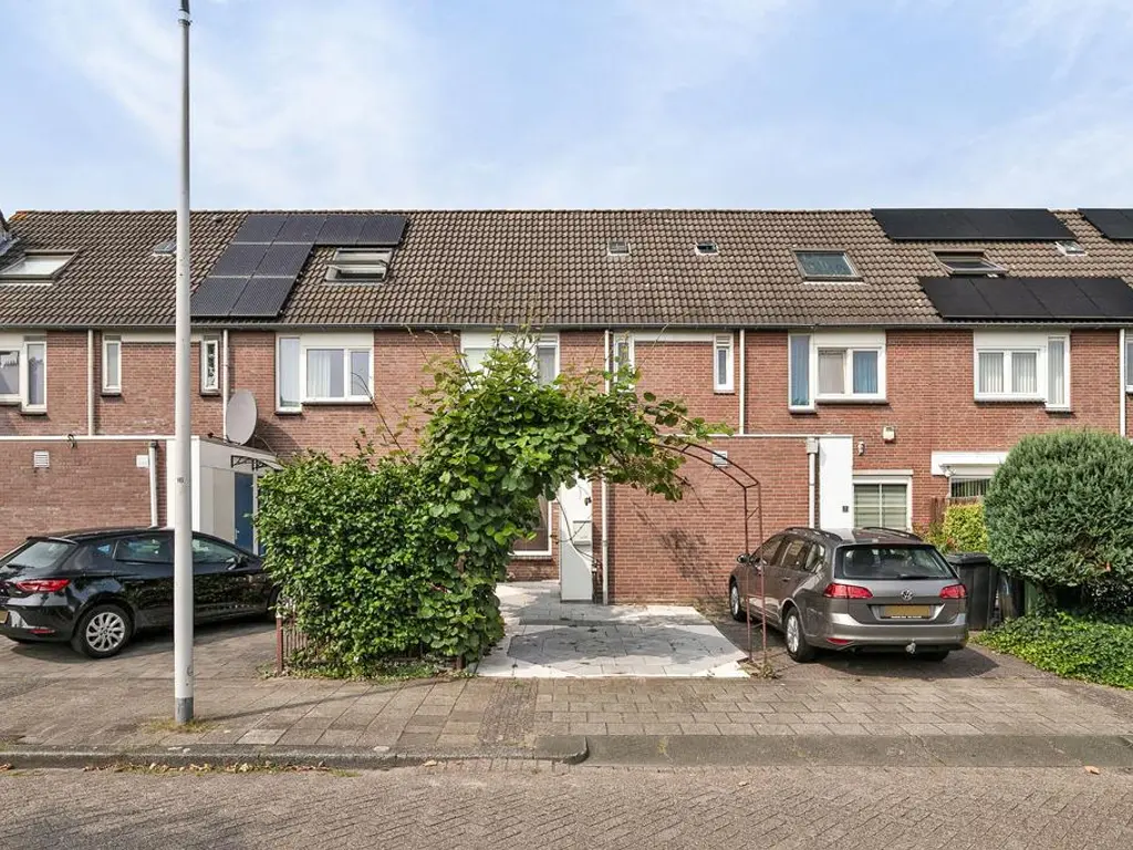 Piccolo 71, ROTTERDAM