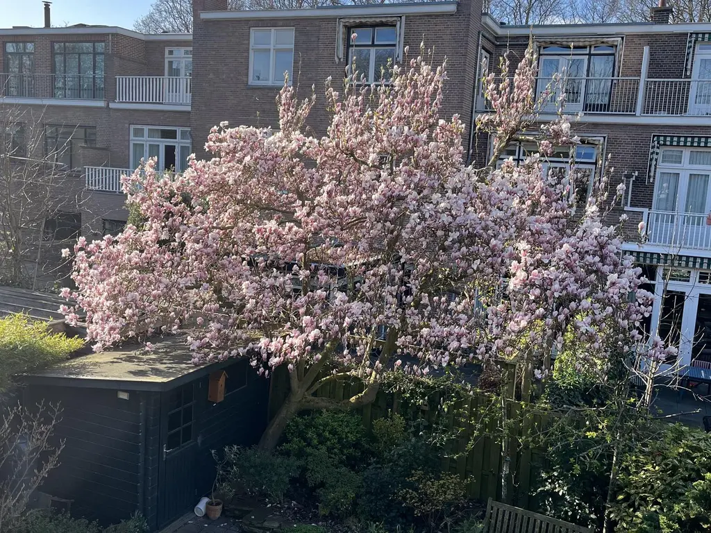 Ruychrocklaan 134, 'S-GRAVENHAGE