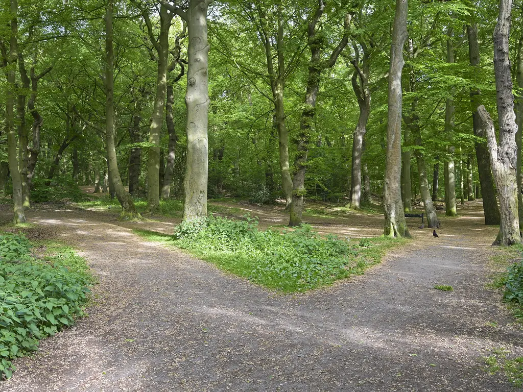 Cees Laseurlaan 159, 'S-GRAVENHAGE