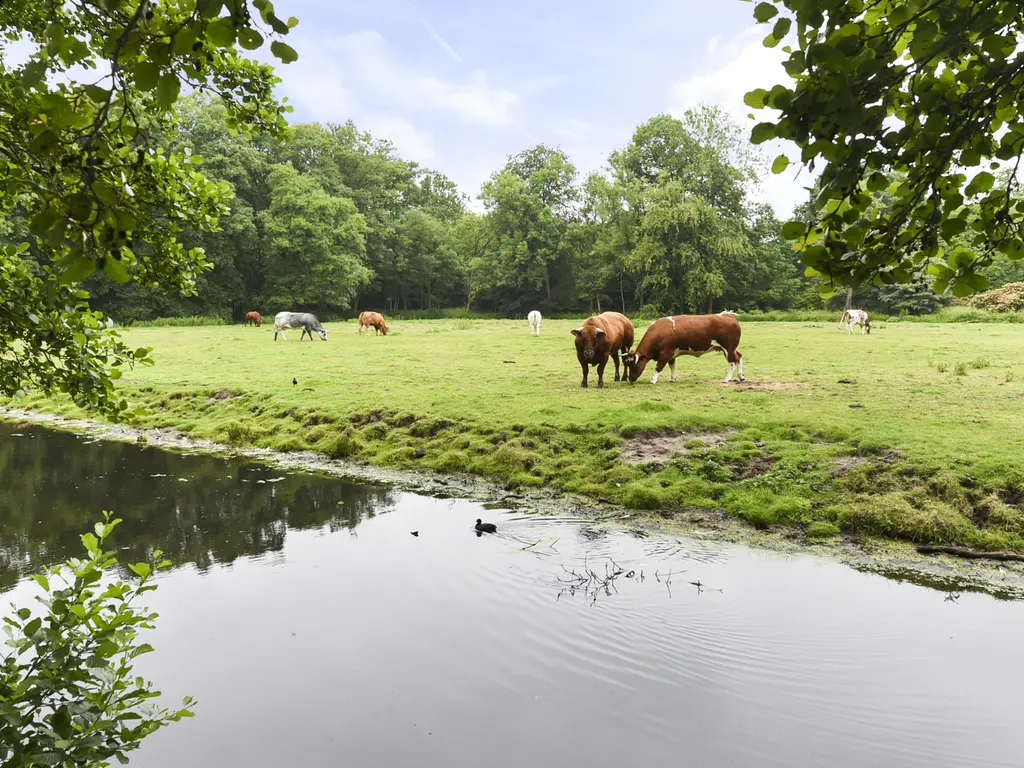 Laan van Clingendael 43, 'S-GRAVENHAGE