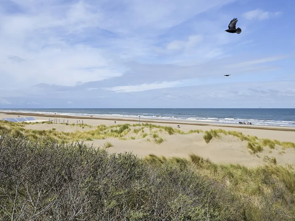 Westkapellelaan 236, 'S-GRAVENHAGE