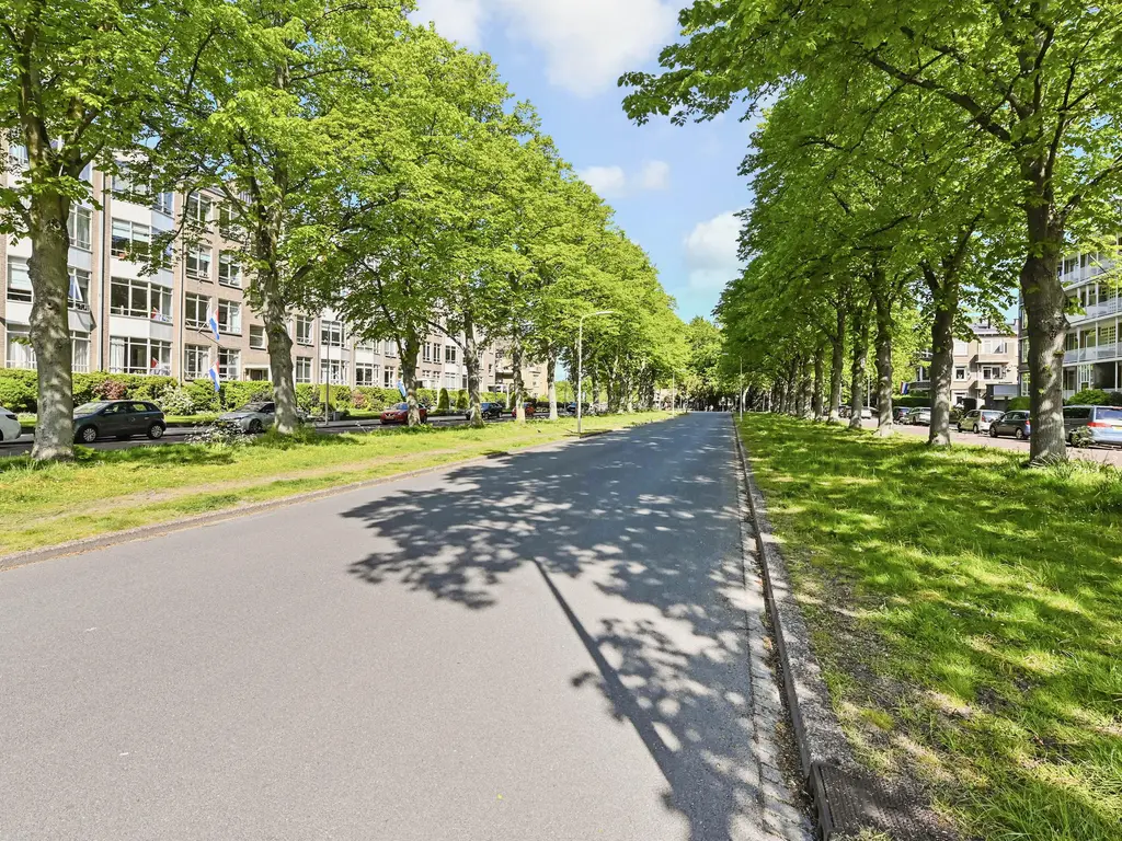 Laan van Clingendael 97, 'S-GRAVENHAGE