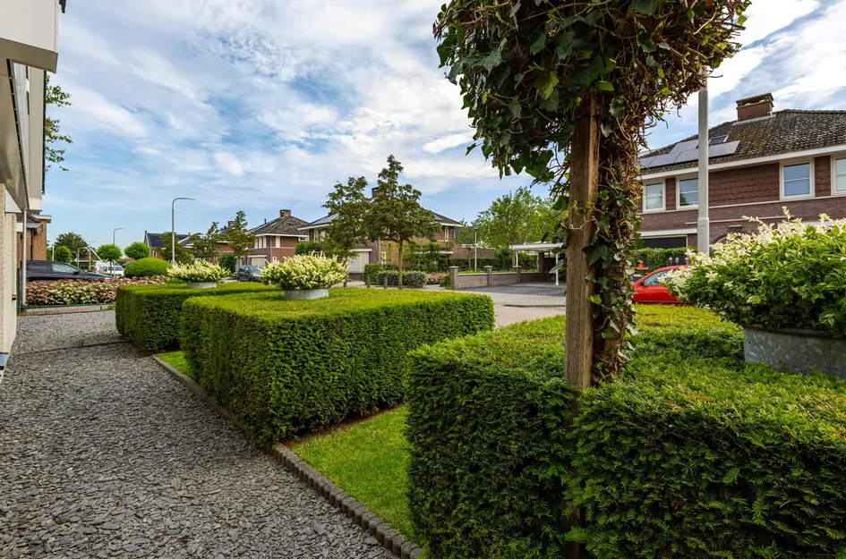 Doetse Vliet 14