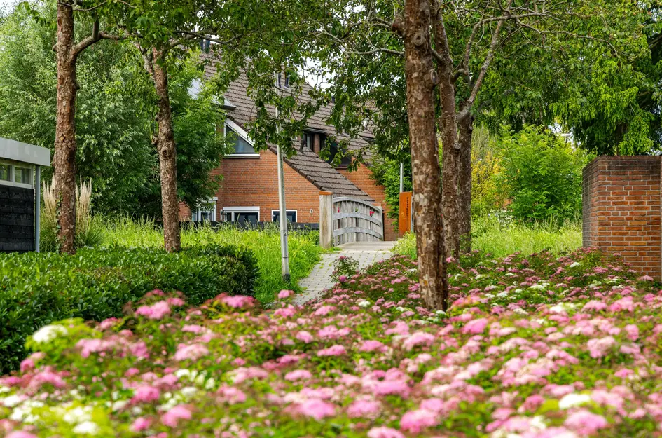 Doetse Vliet 14