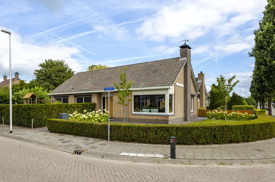 De Griend 1