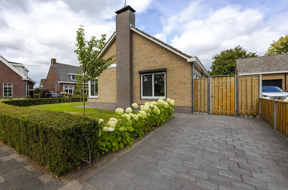 De Griend 1