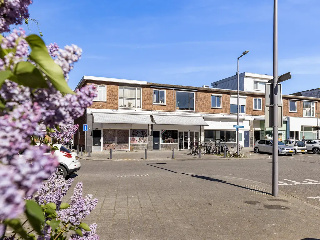 Duyvesteynstraat 19, ROTTERDAM