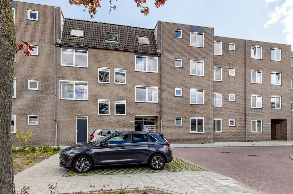 Ringspoor 50