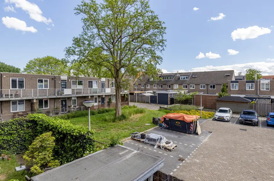 Ringspoor 50