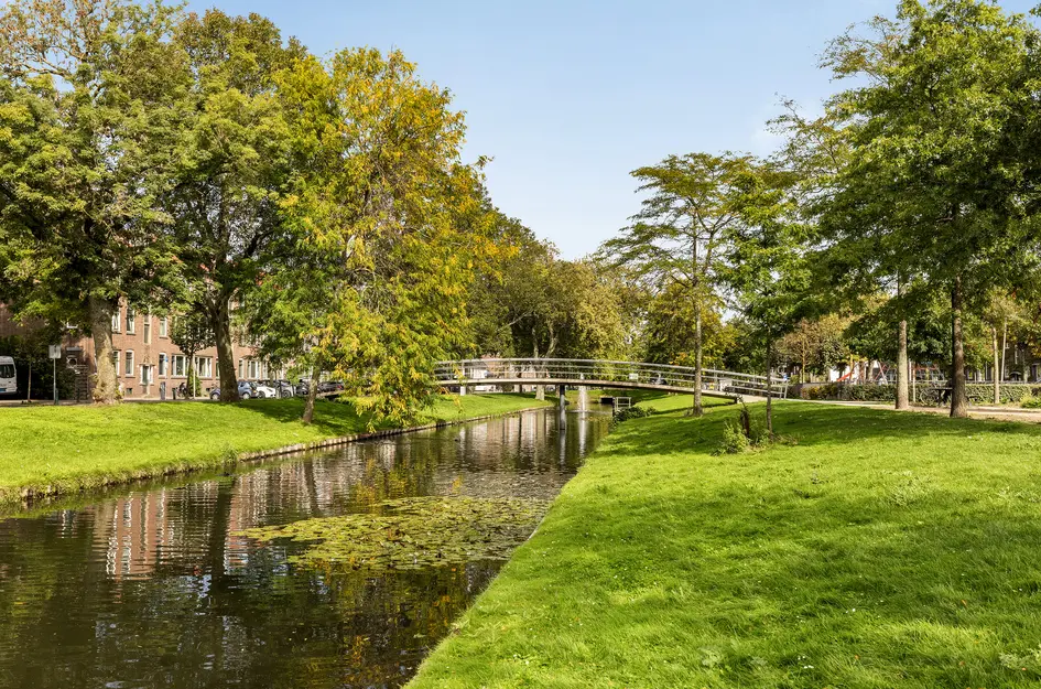 Lepelaarsingel 94C