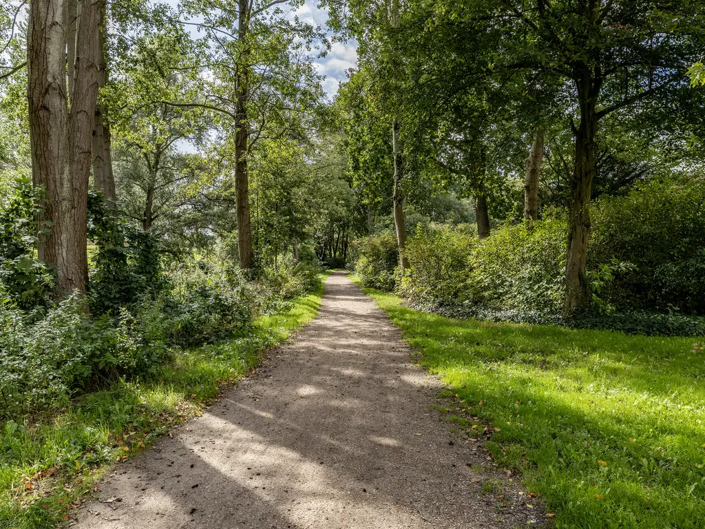 Kruisbessendreef 6, ROZENBURG