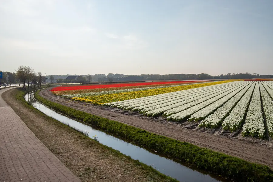 Heereweg 21