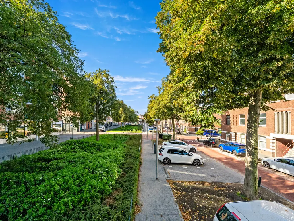 Linnaeusstraat 9, Den Haag