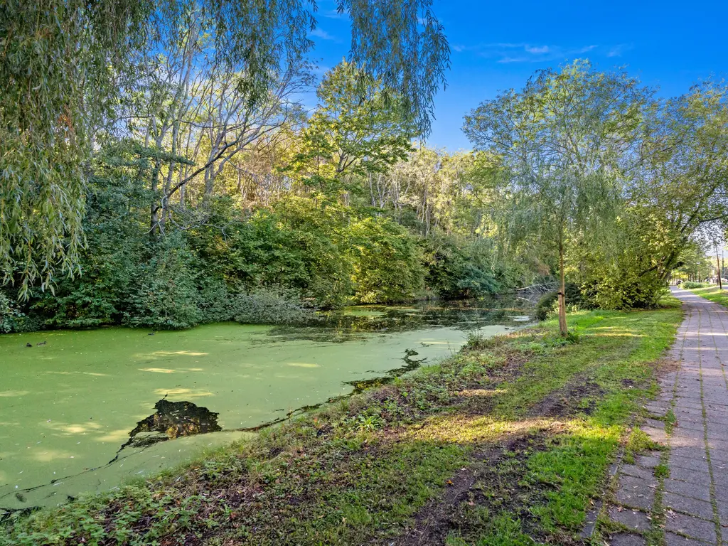 Burgemeester Elsenlaan 113, Rijswijk