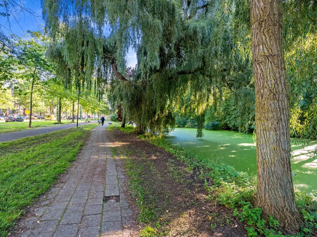 Burgemeester Elsenlaan 113, Rijswijk