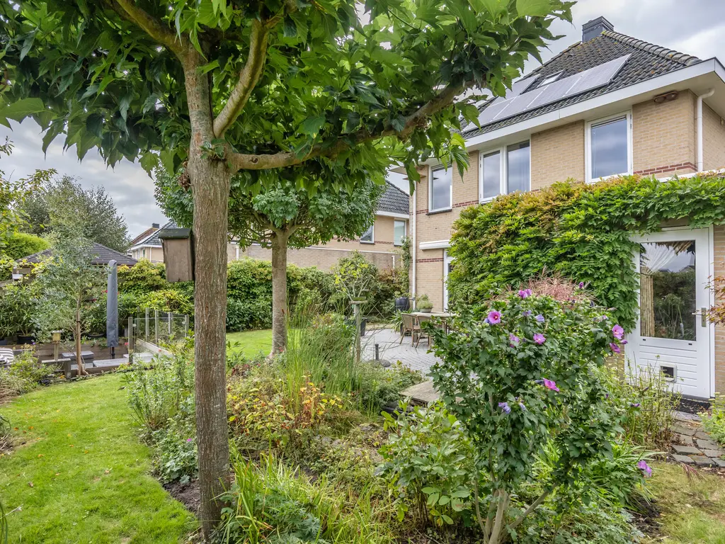 De Wylp 9, Bolsward