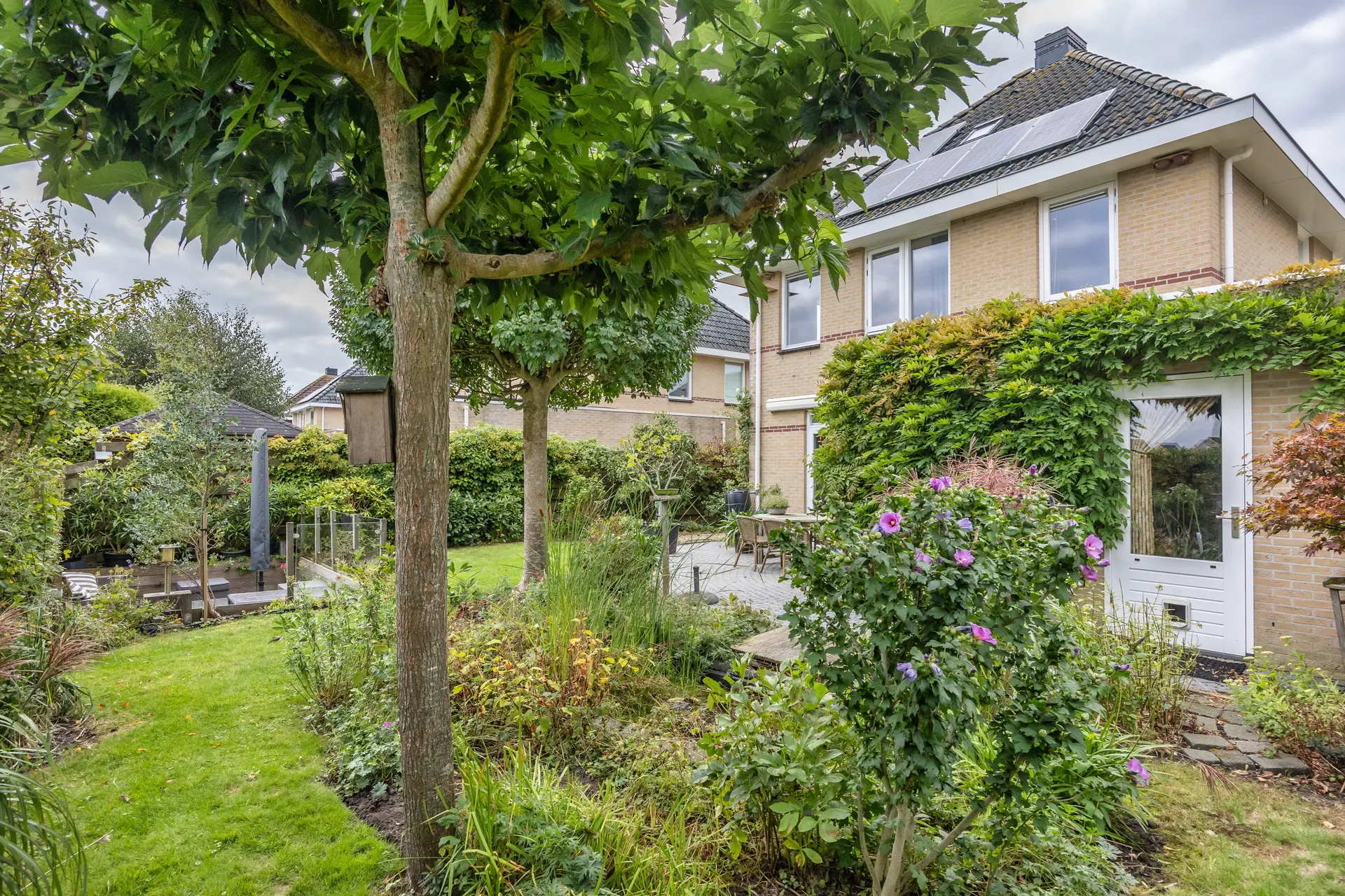De Wylp 9, Bolsward