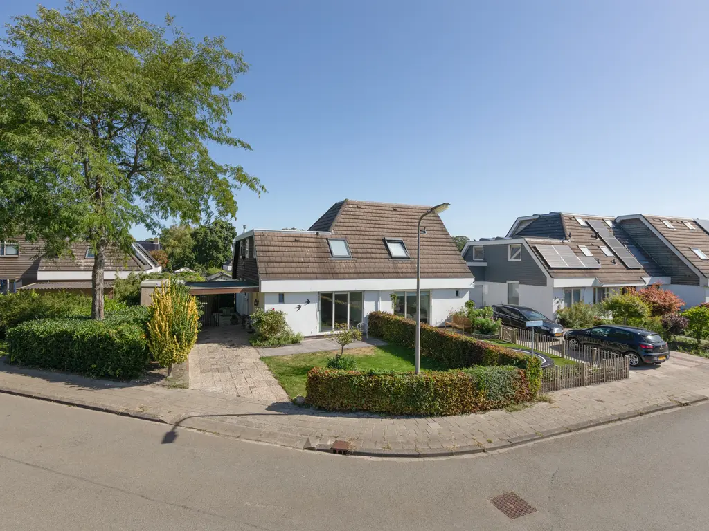Fûgelikkers 1, Workum