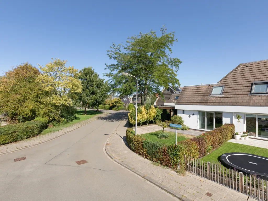 Fûgelikkers 1, Workum