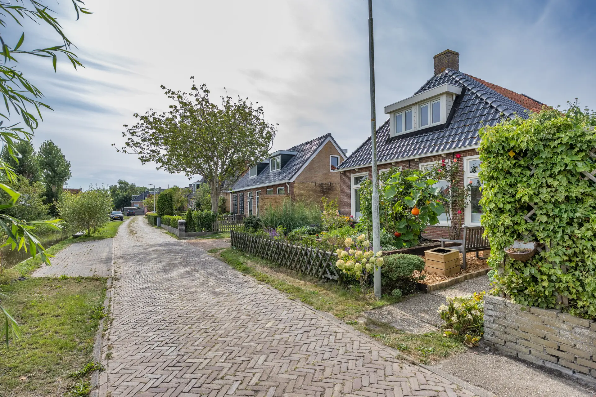 Franekerkade 17, Arum