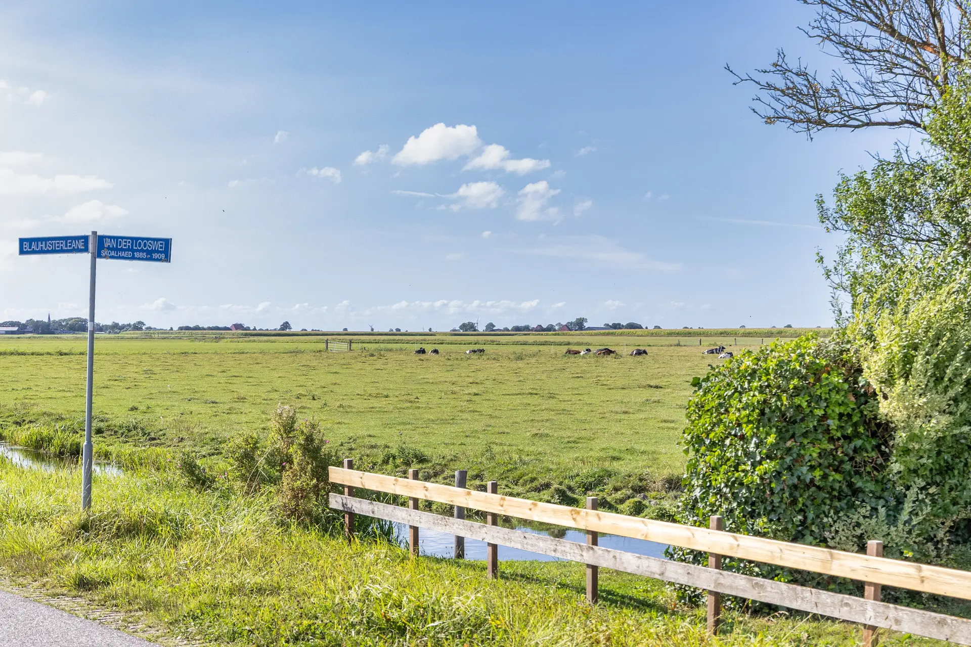 Van der Looswei 36, Blauwhuis
