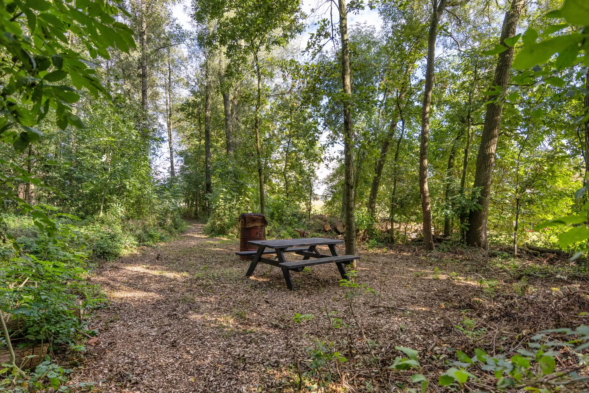 Arumerweg 84, Witmarsum