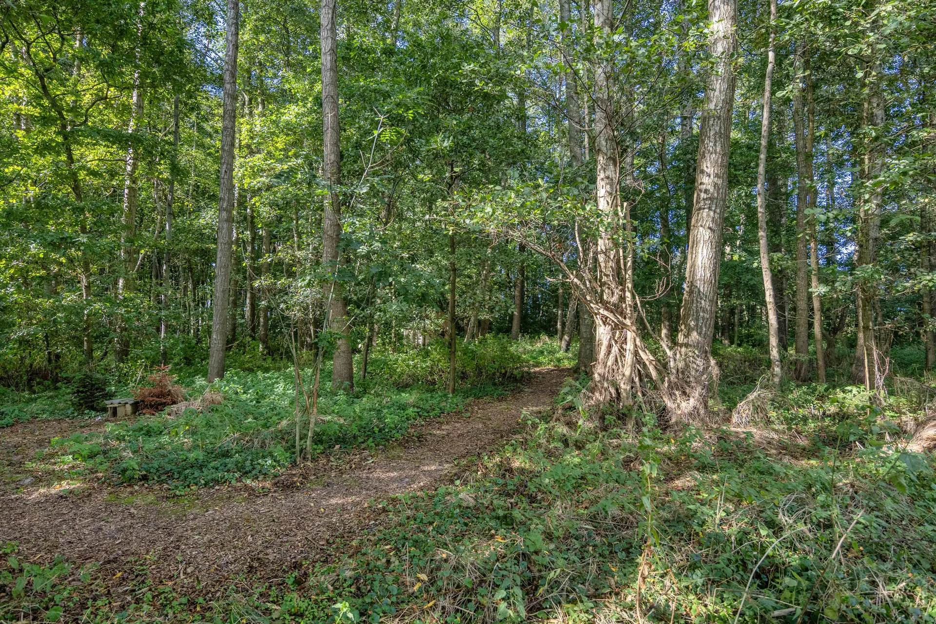 Arumerweg 84, Witmarsum
