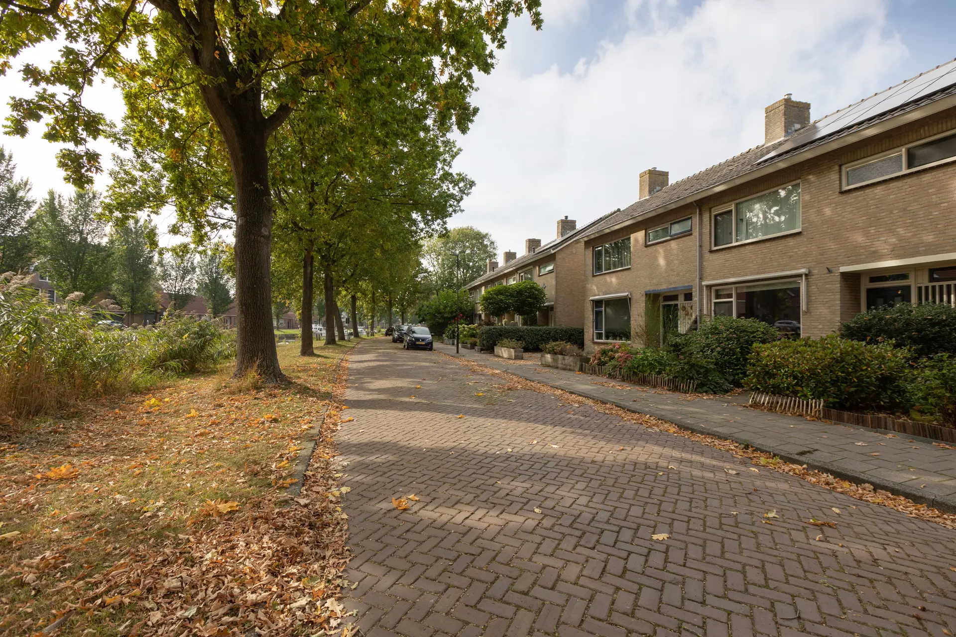 Stadsstreng 8, Bolsward