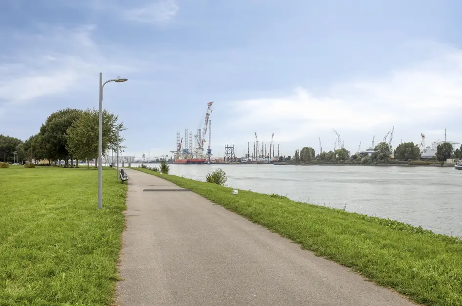 Pastoriedijk 195