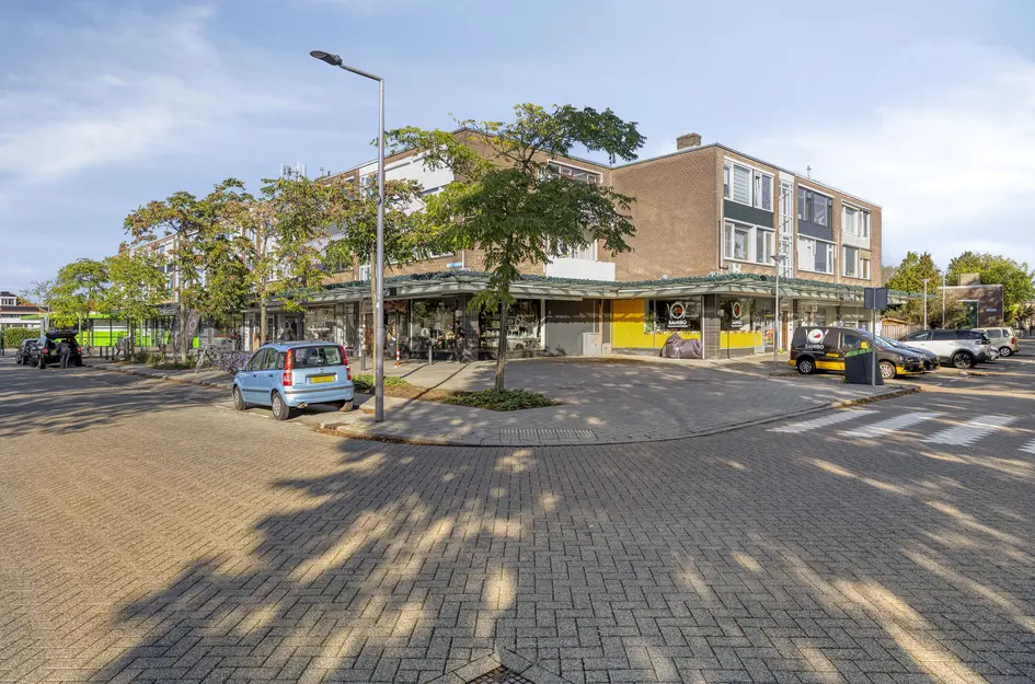 Van Zyll de Jongstraat 92