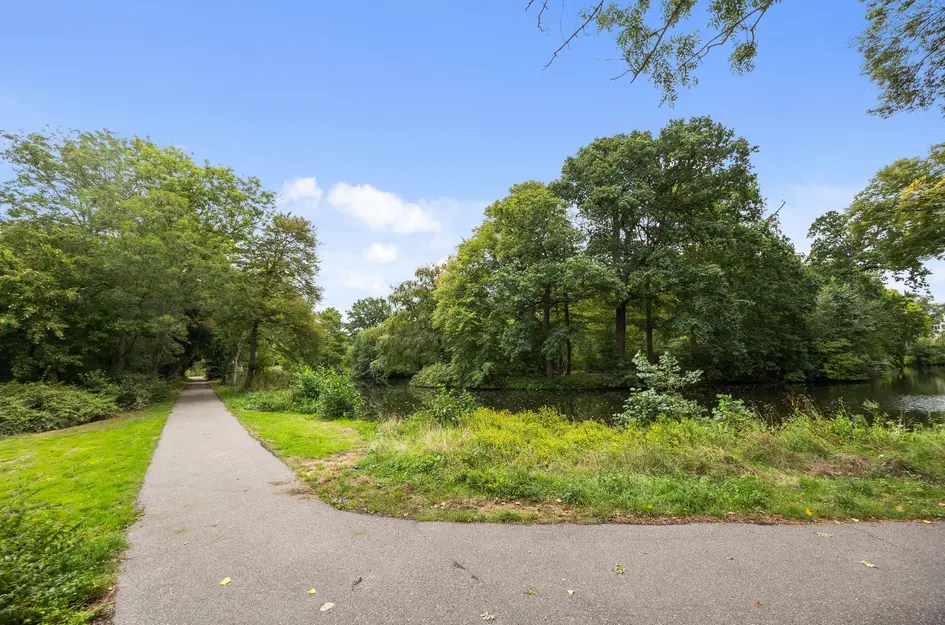 Menkemastraat 52
