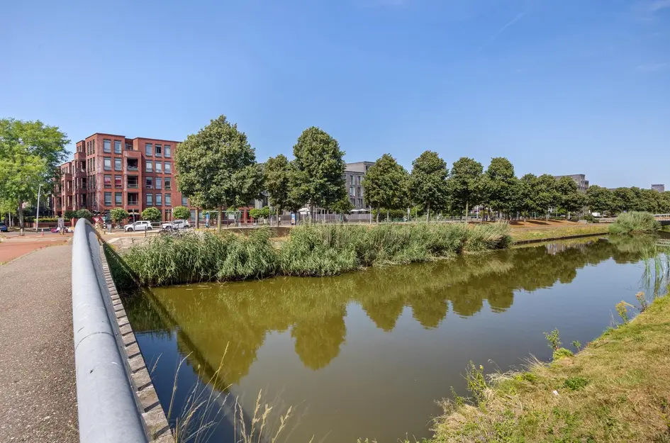 Zilvermeeuwlaan 10