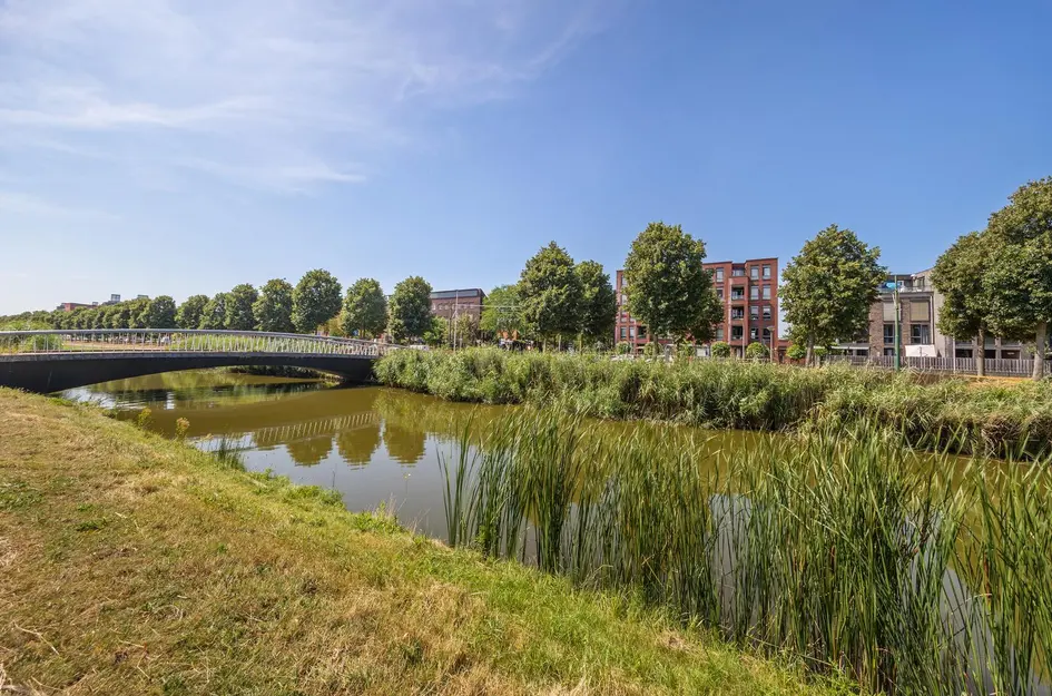 Zilvermeeuwlaan 10