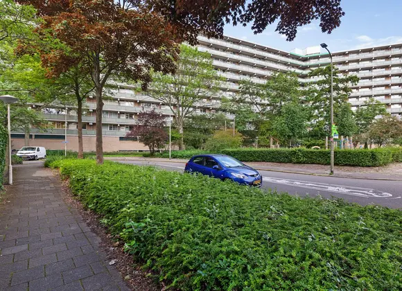 Stadhoudersring 656