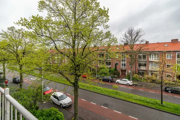 Burggravenlaan 210, Leiden