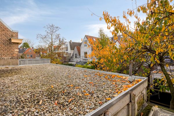 Rijnstraat 26, Leiden