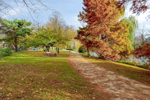 Rijnstraat 26, Leiden