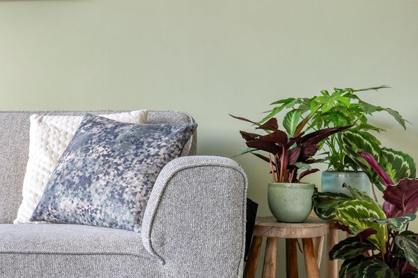 Bachstraat 268, Leiden