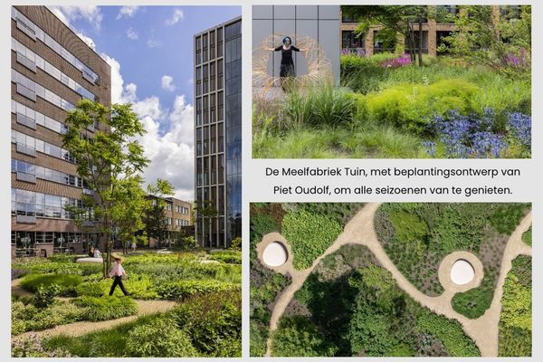 Maalderijstraat 21, Leiden