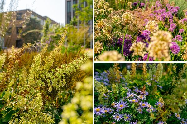 Maalderijstraat 21, Leiden
