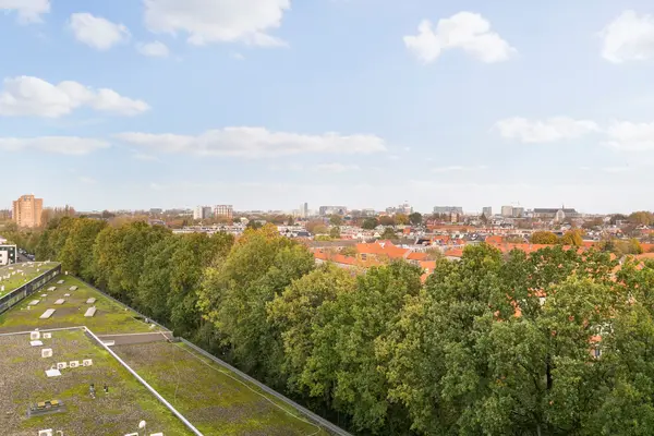 Ananasweg 142, Leiden