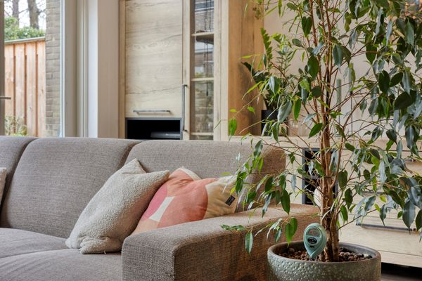 Scharlakenbes 9, Leiden